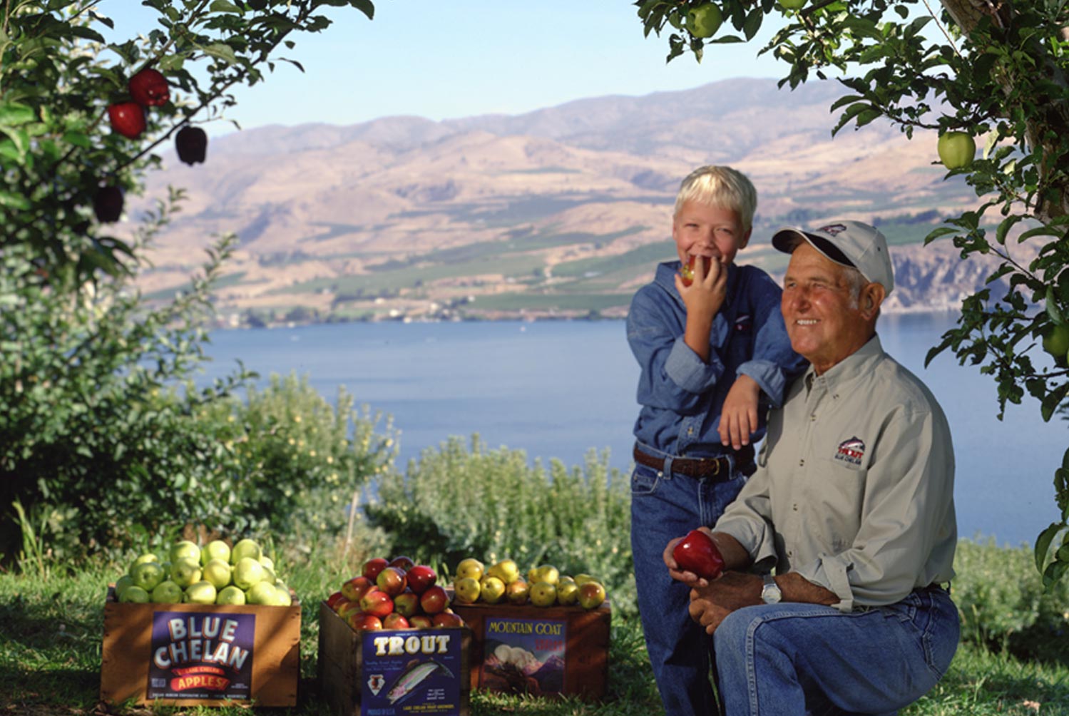 Organic Fuji Apples  Order Online From a Local Family Farm – Chelan Ranch