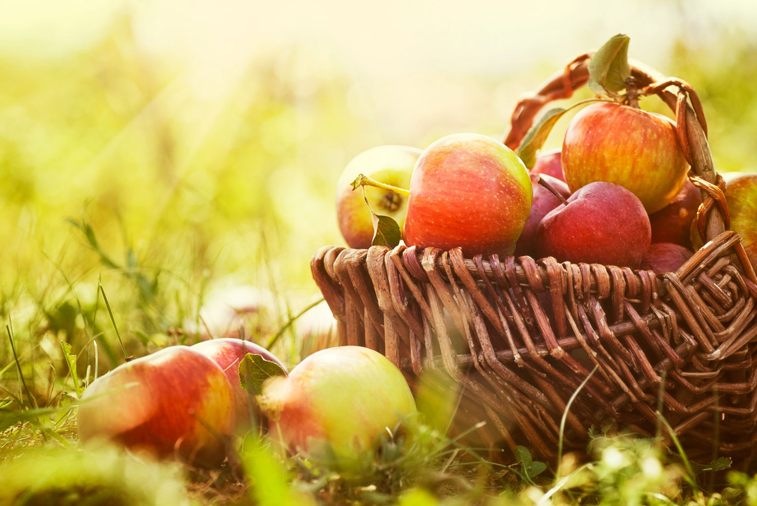 Chelan Fresh Apples, Organic, Gala